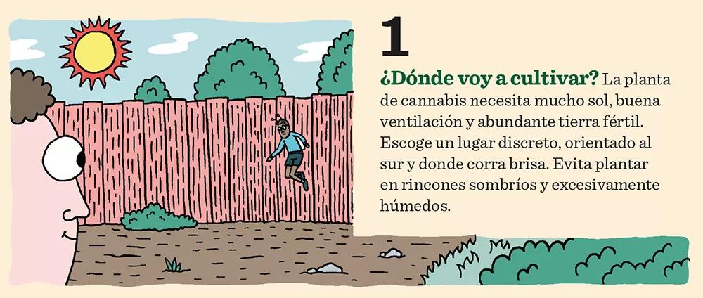 Diez claves para tener éxito en el cultivo de exterior 