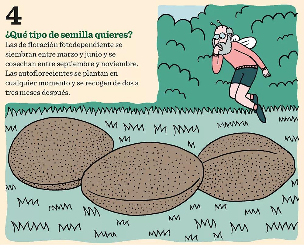 Diez claves para tener éxito en el cultivo de exterior 