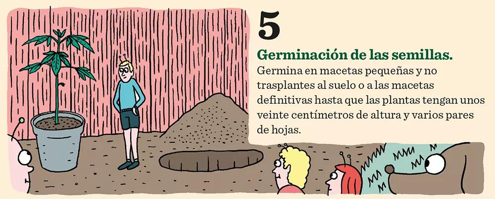 Diez claves para tener éxito en el cultivo de exterior 