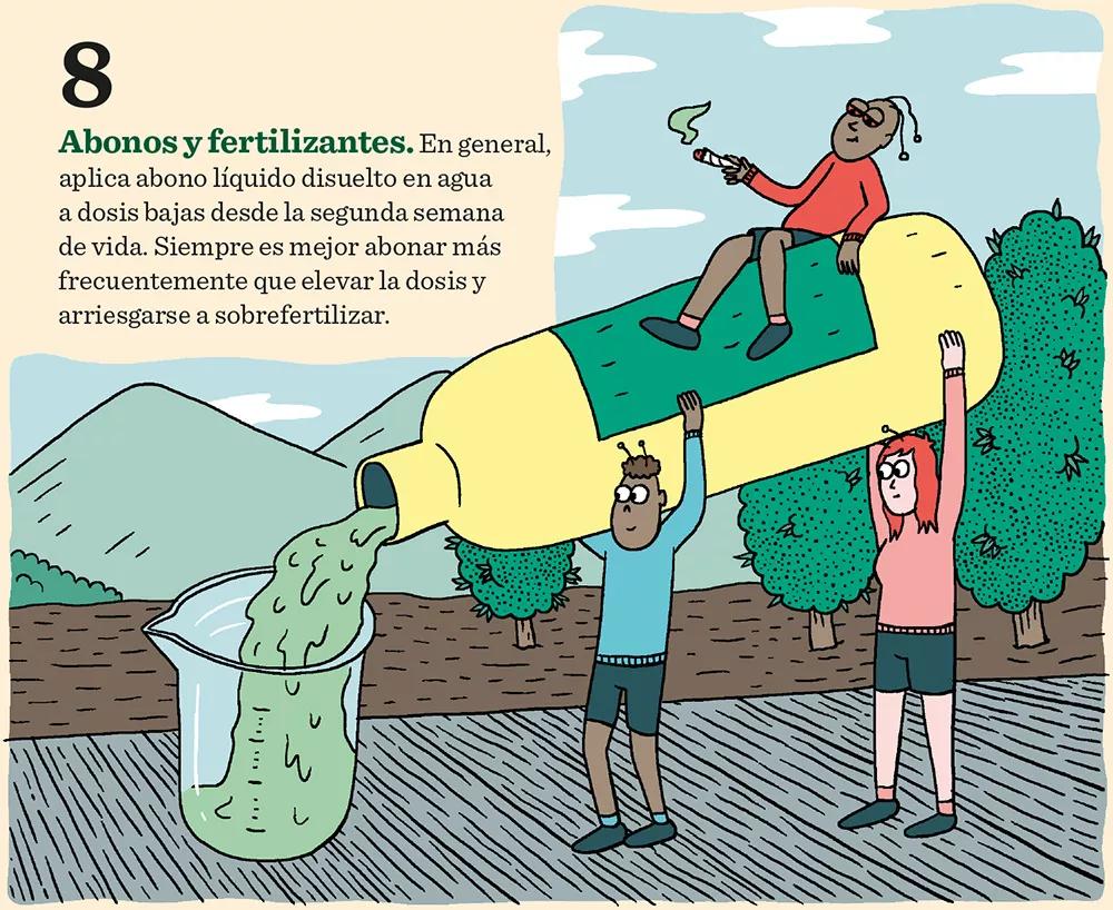Diez claves para tener éxito en el cultivo de exterior 
