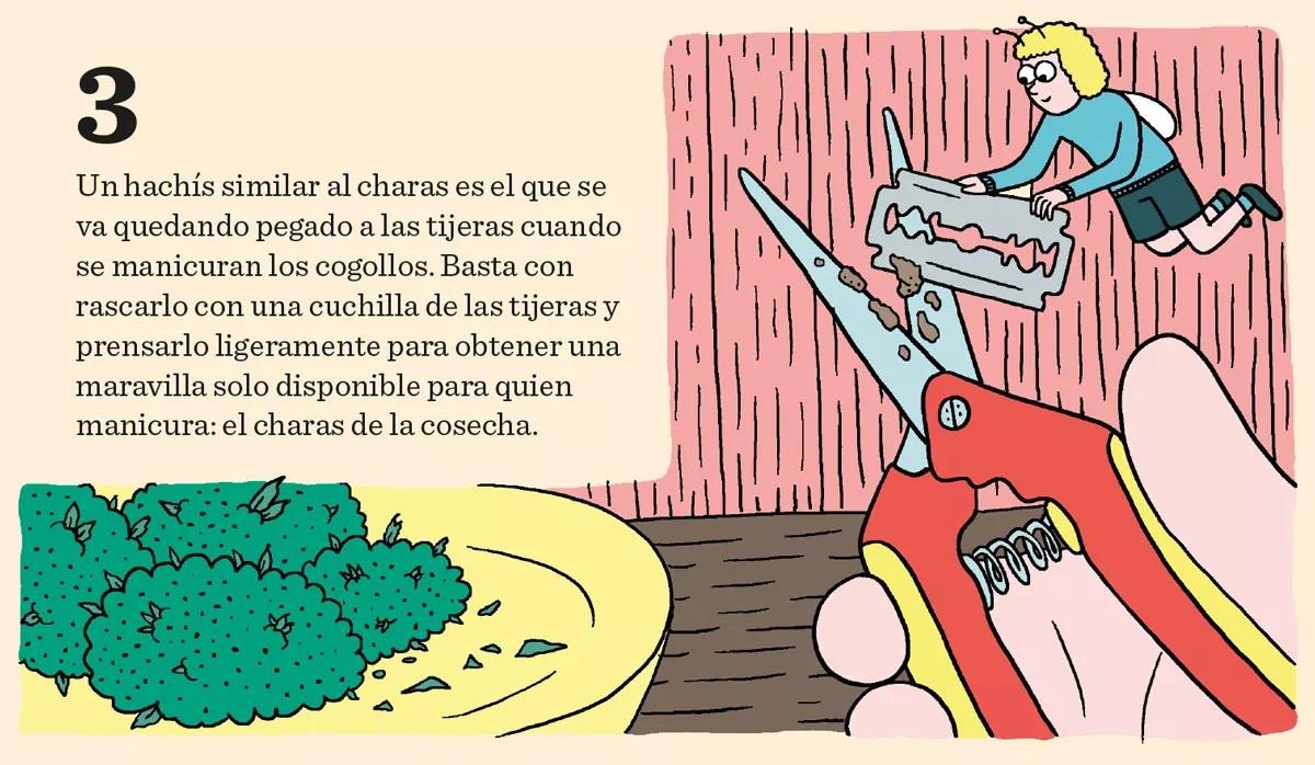 Hachís, Ice, BHO y otros extractos cannábicos 