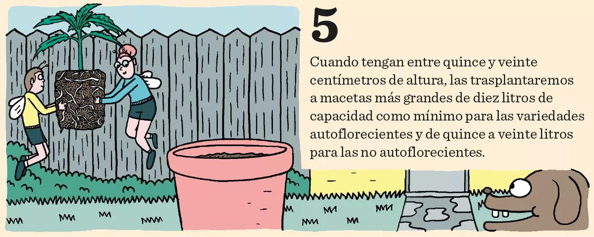 Los diez pasos básicos para la primera cosecha 