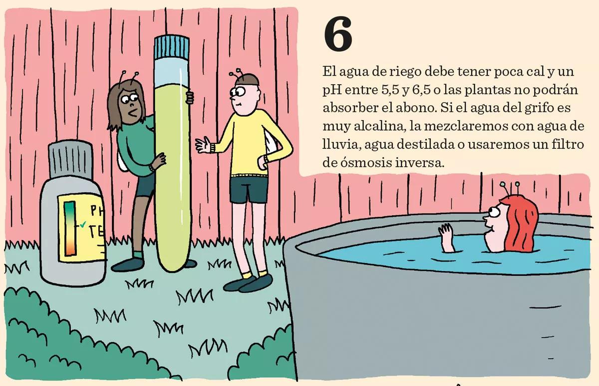 Los diez pasos básicos para la primera cosecha 