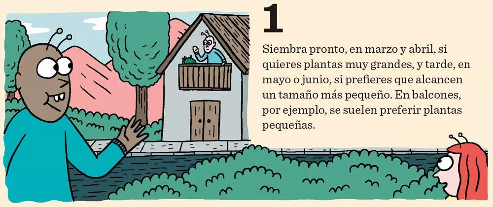 Once consejos para el crecimiento