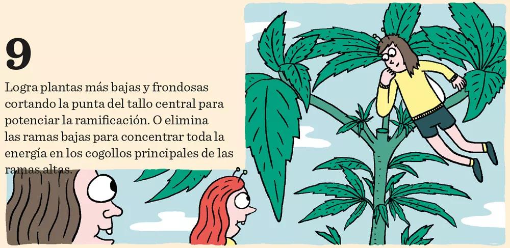 Once consejos para el crecimiento