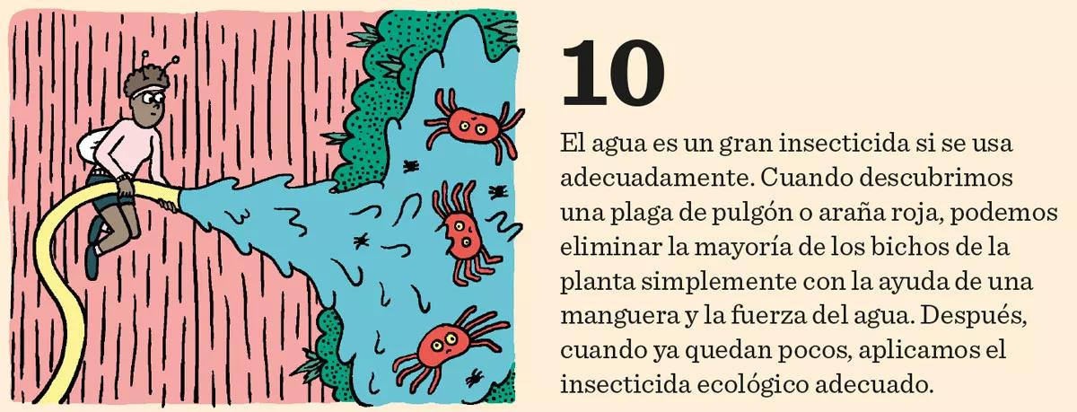 Fase vegetativa del cannabis: diez claves esenciales para el crecimiento 