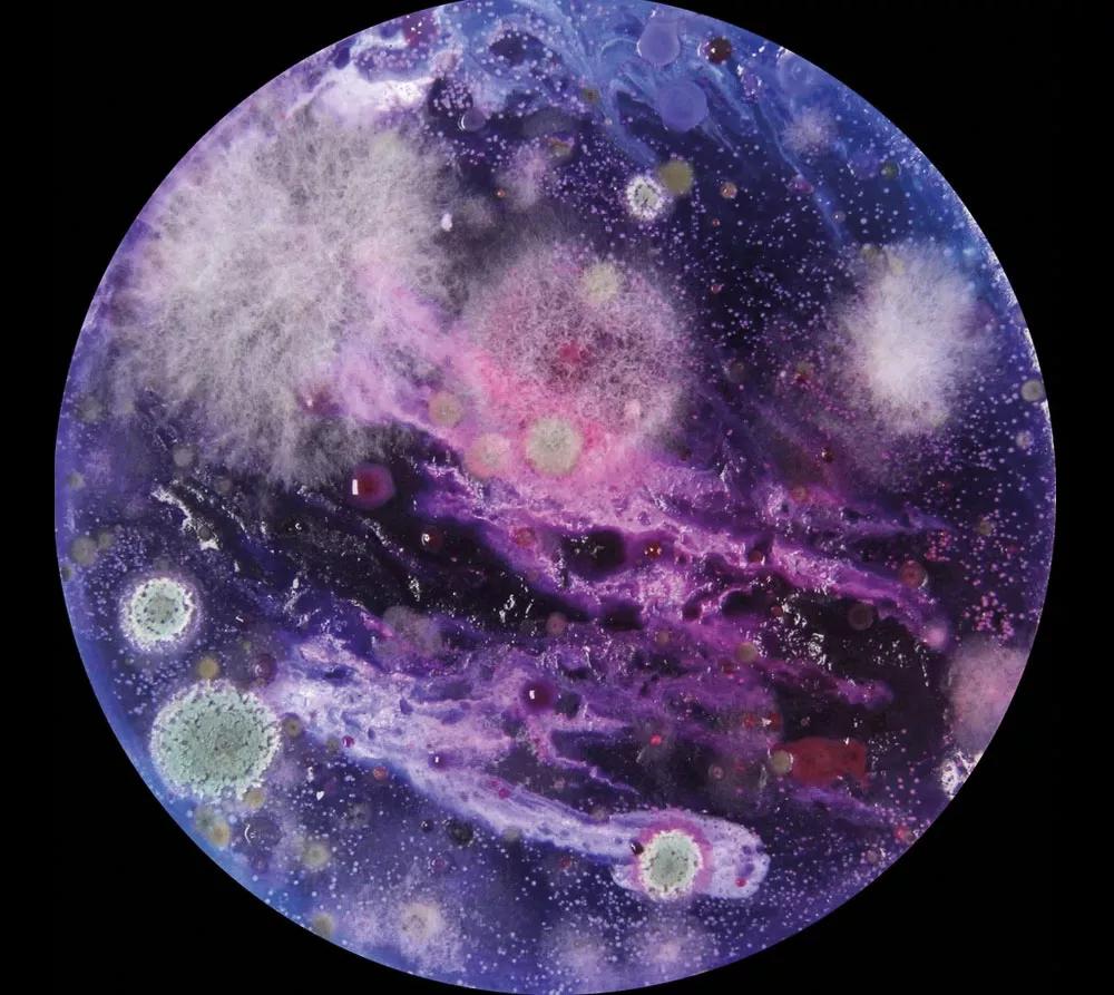 Hamilton Mestizo reproduce con Microuniversos una analogía sobre la existencia del cosmos desde lo más pequeño,  las bacterias y hongos, para representar las dimensiones infinitas del universo.