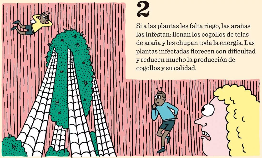 Los enemigos del cogollo: arañas rojas, orugas del cogollo, botritis y oídio