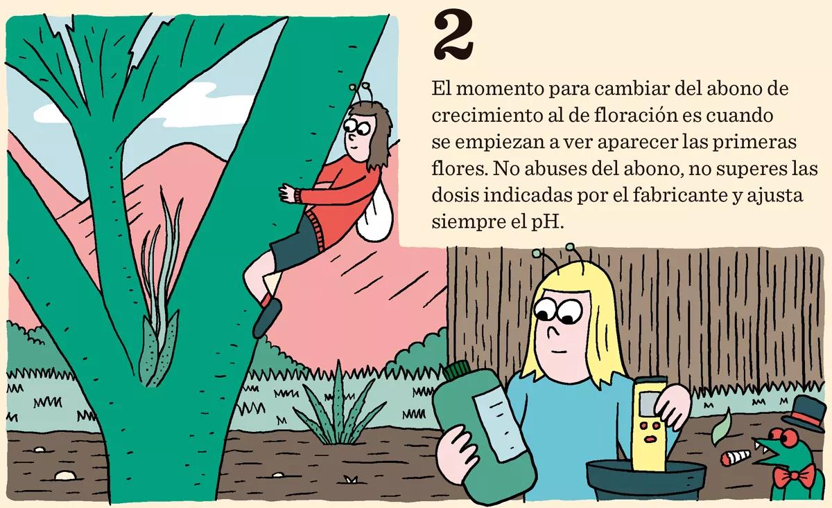 Diez consejos para una buena floración 