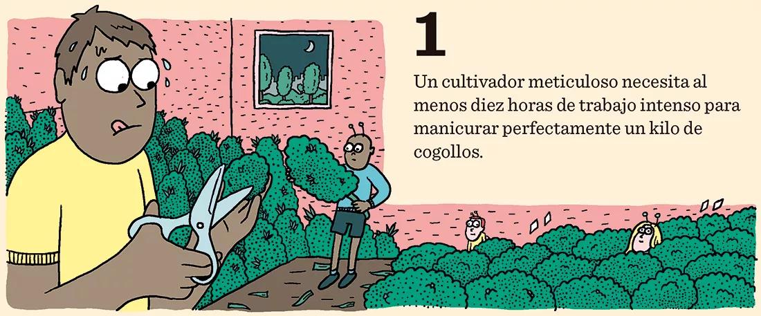 Diez claves sobre las máquinas de manicurar