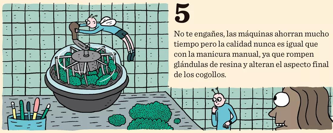 Diez claves sobre las máquinas de manicurar