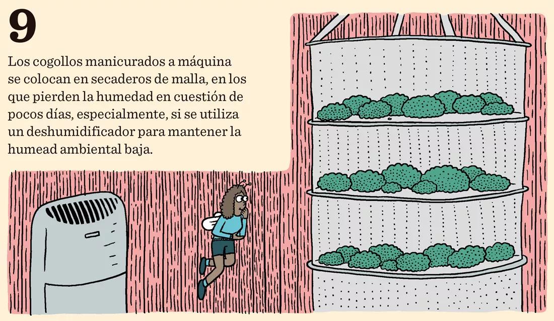 Diez claves sobre las máquinas de manicurar