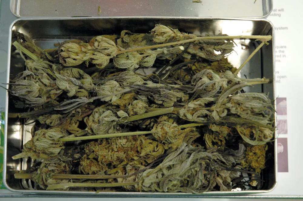 Una caja como esta encierra, al manos, tantas experiencias distintas como variedades contiene. 