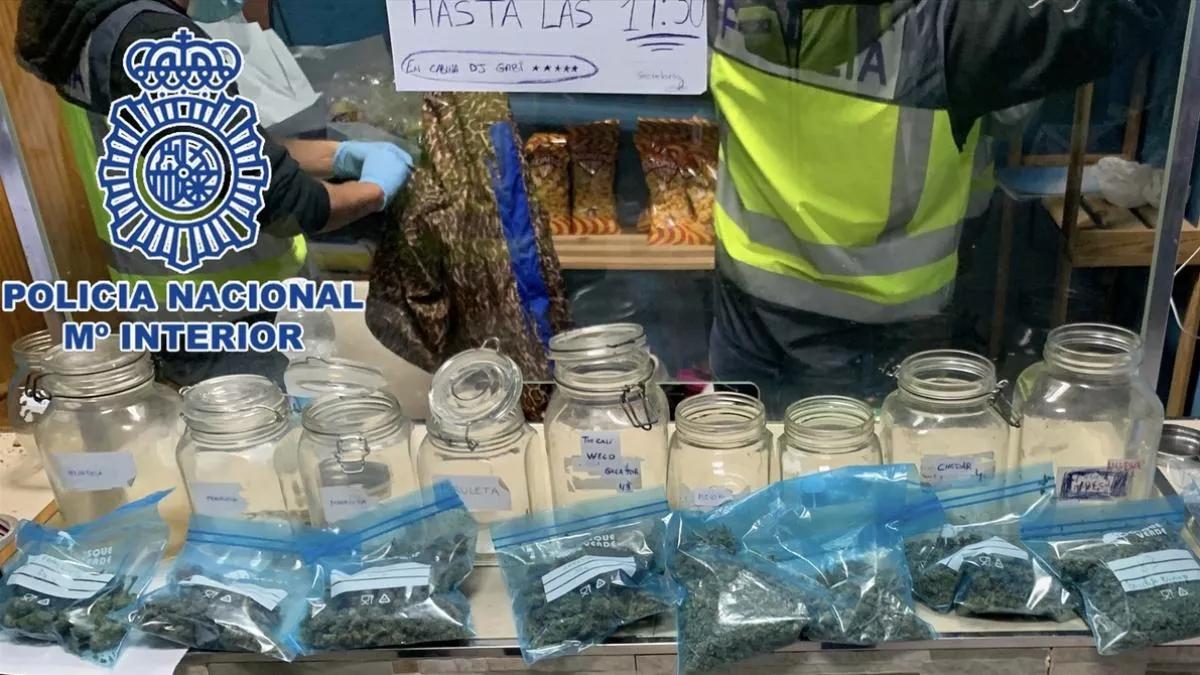 Marihuana incautada en la asociación de Cartagena.