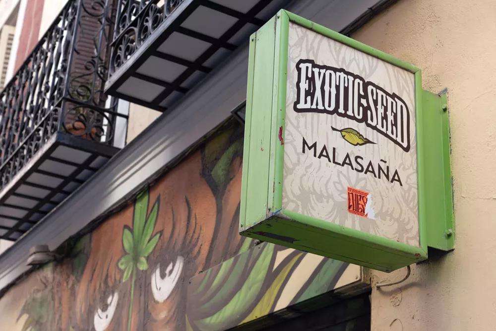 Exotic Seed De Madrid al cielo cannábico 