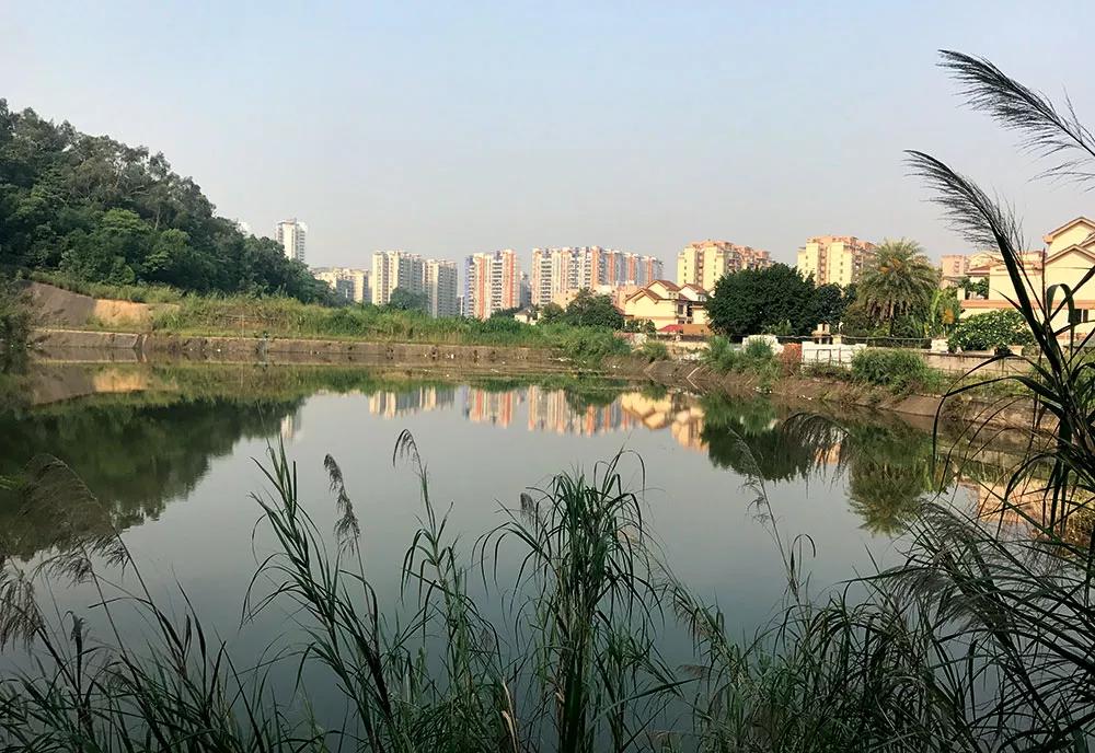 Hanói tiene varios lagos citadinos que vale la pena recorrer, como el Hoam Klem o el Ho Tay.