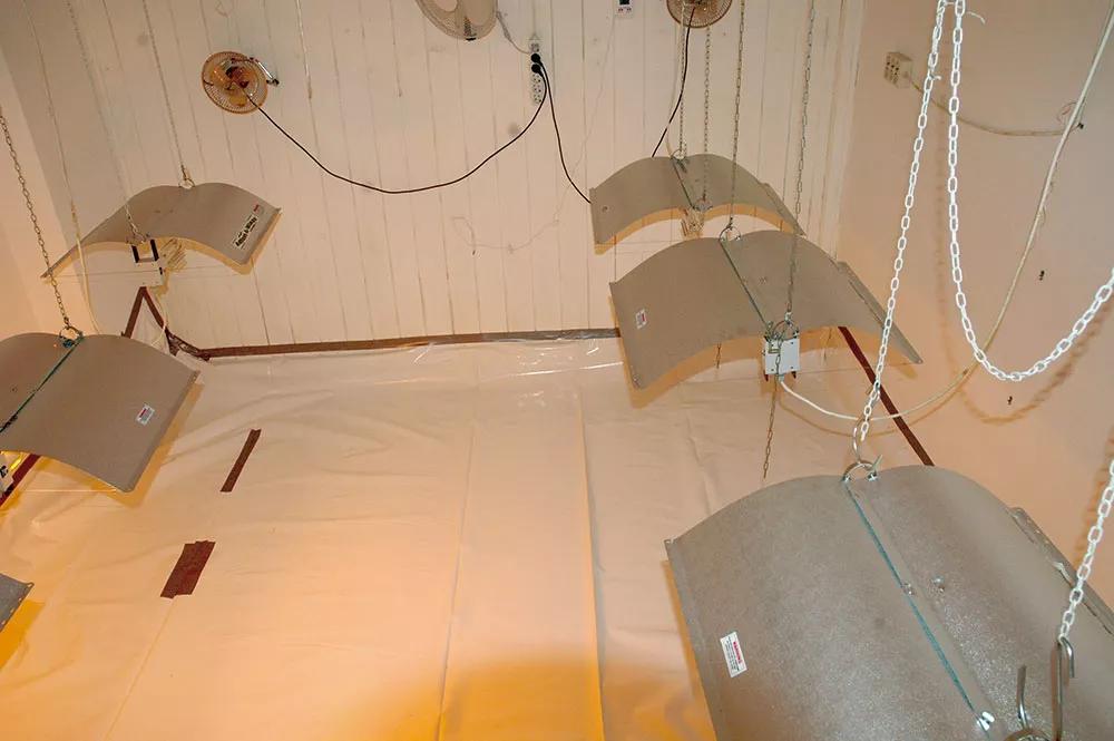 Plastificaremos el suelo del cultivo para evitar que una fuga de agua se filtre al vecino de abajo.