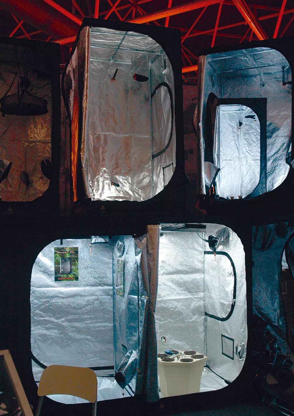 Los armarios de cultivo están diseñados para que no escape nada de luz y son una buena solución para lograr discreción. 