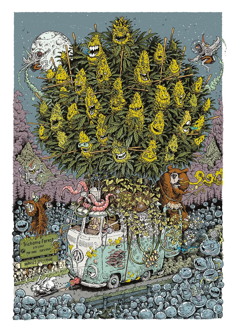 Mossy Giant, el gigante psicoactivo 