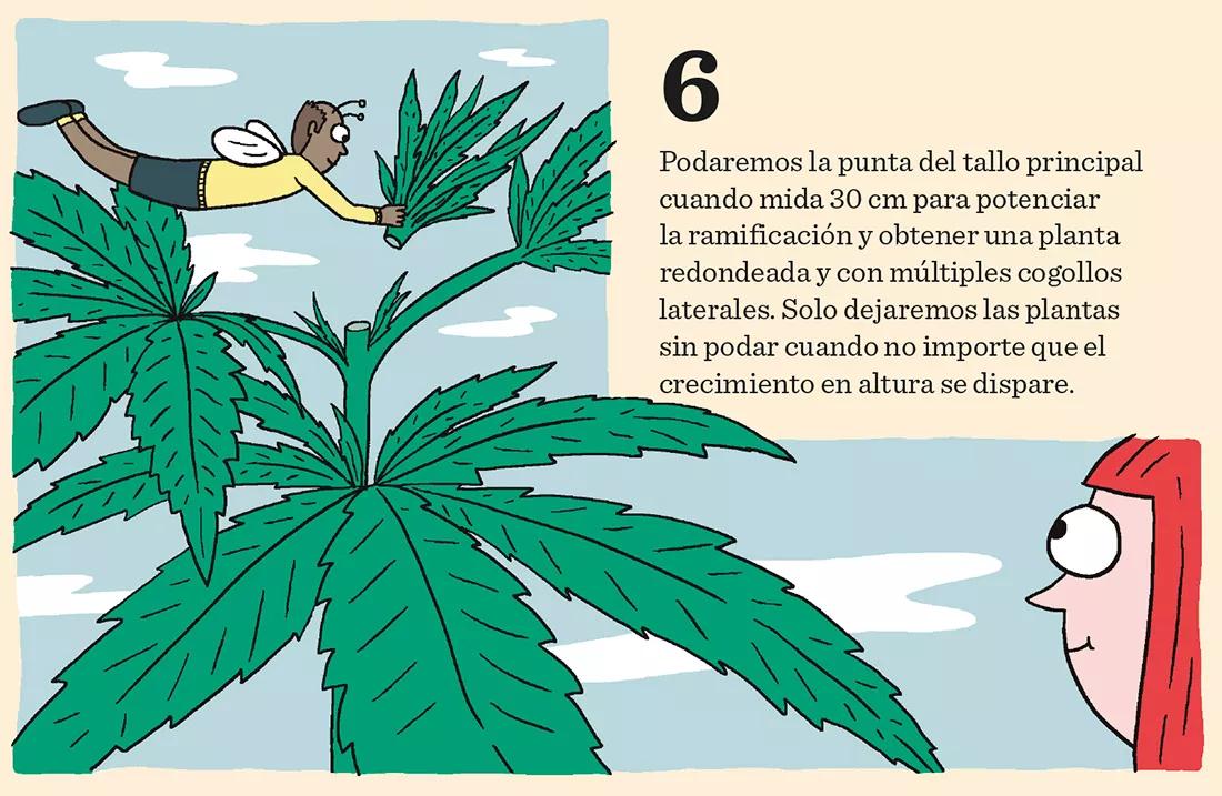 Los meses de crecimiento: diez claves importantes 