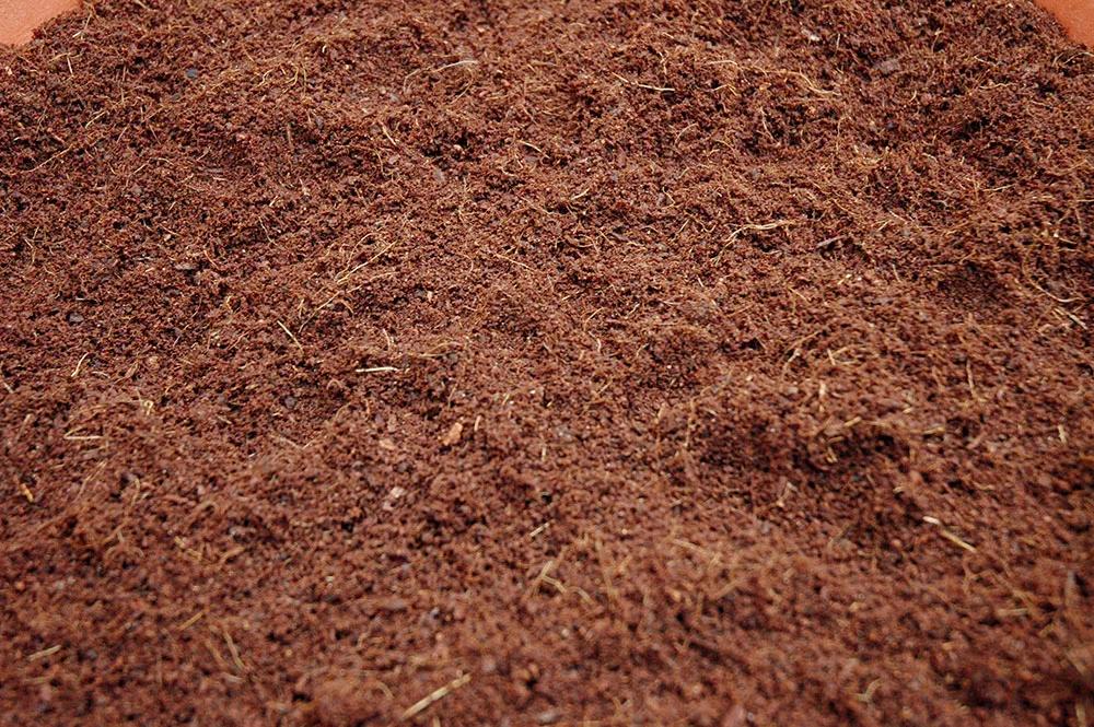 Abona orgánico y cosecha los mejores cogollos 