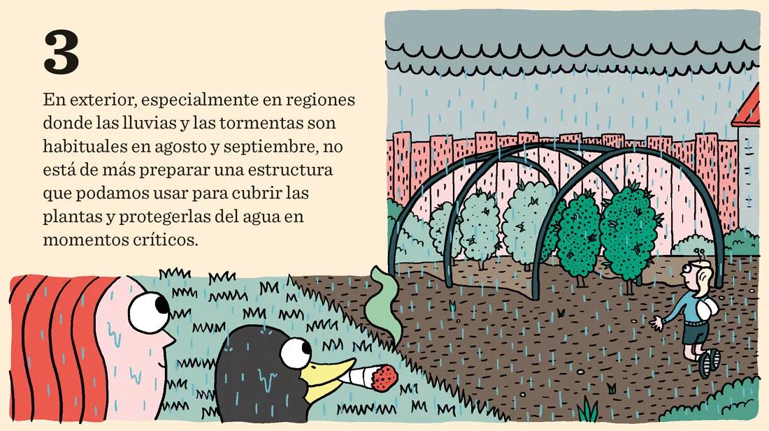 Diez trucos para junio: cómo preparar las plantas para una buena floración