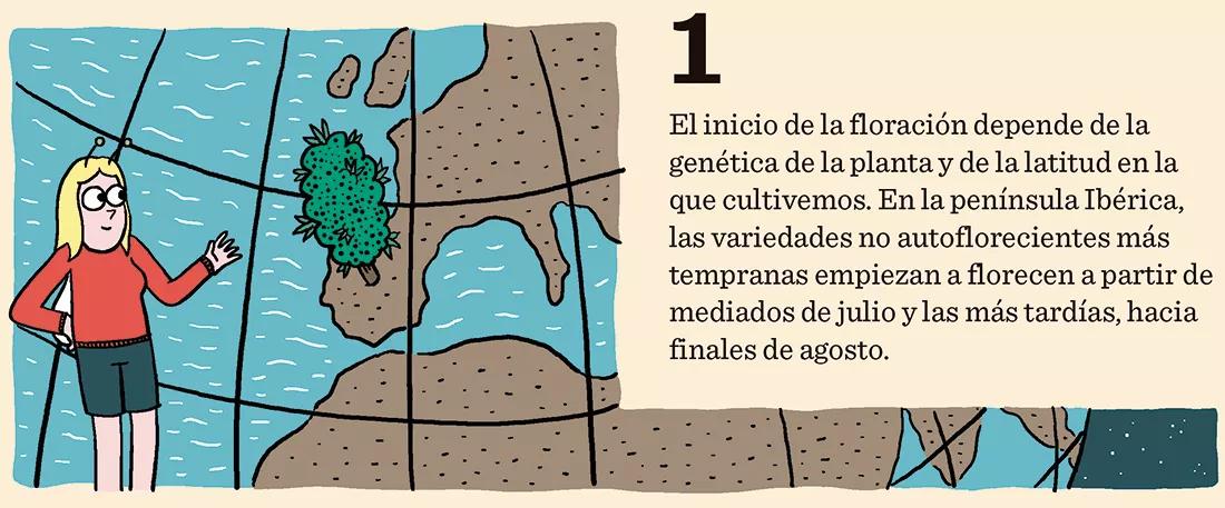 Diez trucos para dominar la floración