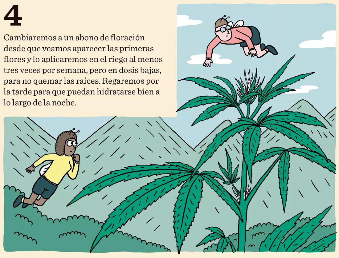 Diez trucos para dominar la floración