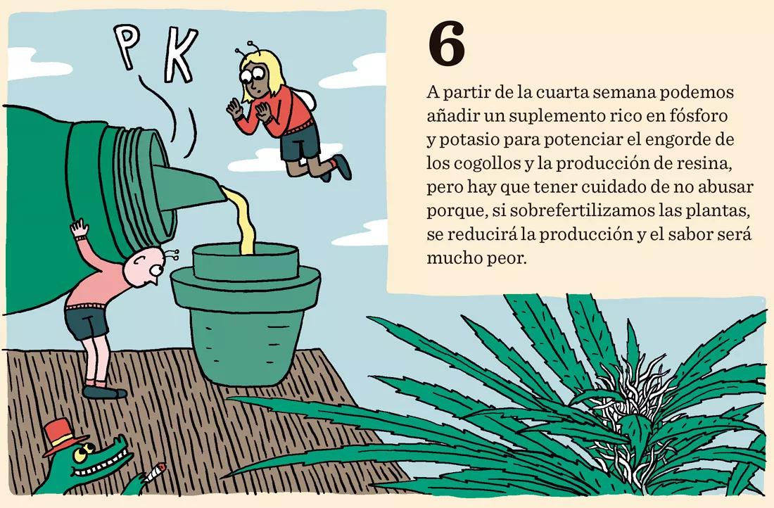 Diez trucos para dominar la floración