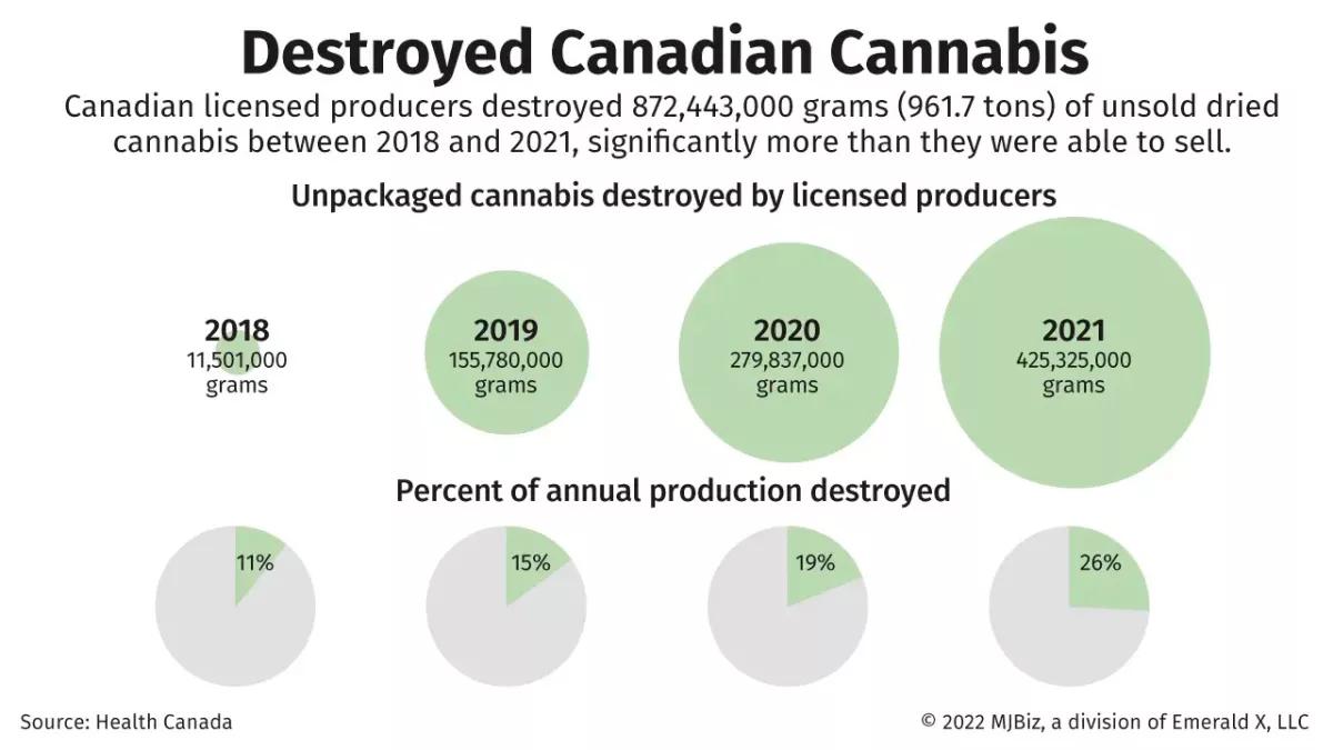 Canadá destruye más cannabis legal del que vende