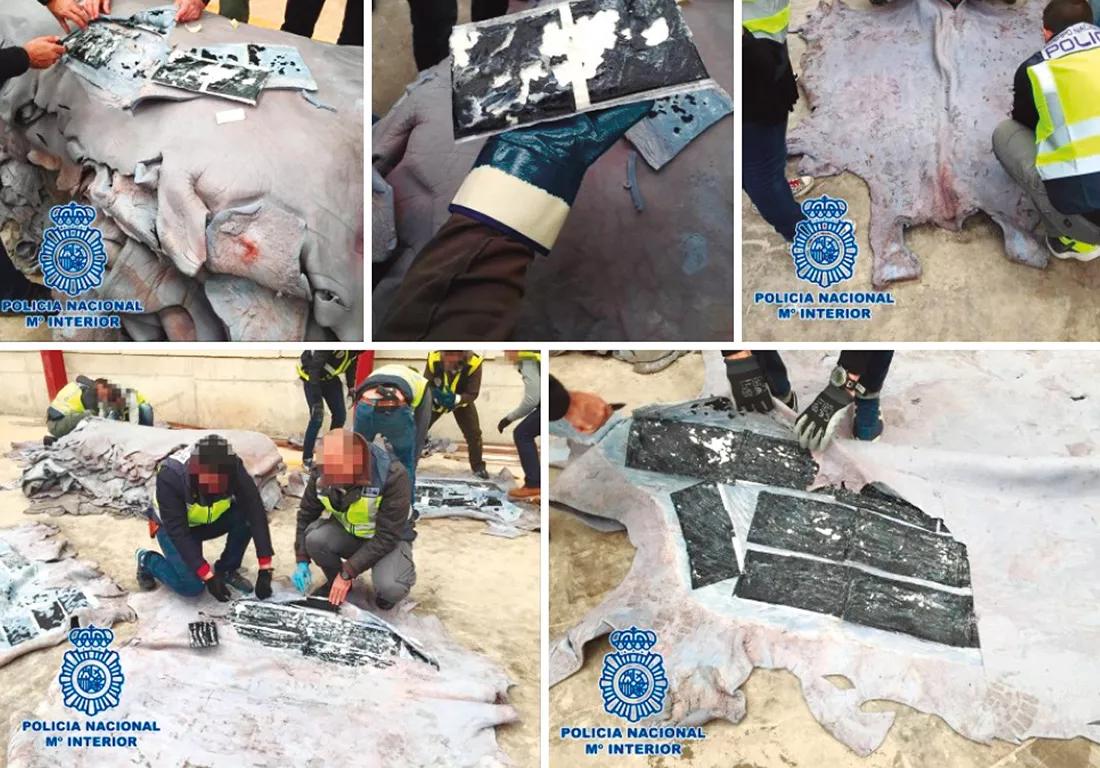 El ingenio para esconder las drogas. 