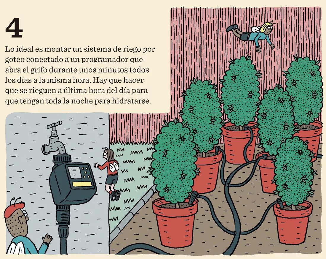 Riegos vacacionales: diez trucos para que la cosecha no sufra 