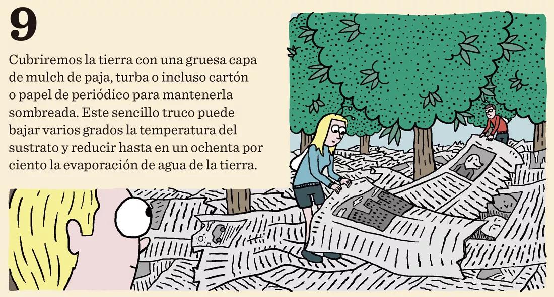 Riegos vacacionales: diez trucos para que la cosecha no sufra 