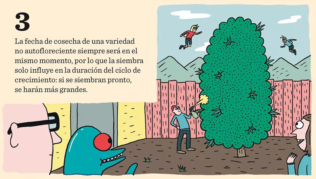 El inicio de la temporada: calendario de germinación para tener éxito