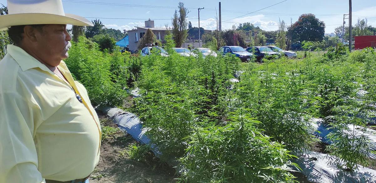 El pueblo de Tetecala: por la libertad del autocultivo en México