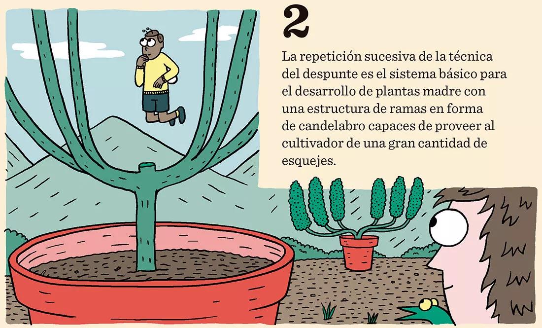 El domador de plantas: ocho técnicas para dominar el desarrollo