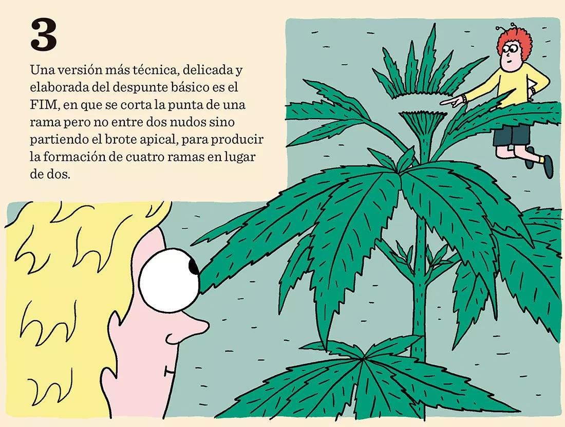 El domador de plantas: ocho técnicas para dominar el desarrollo