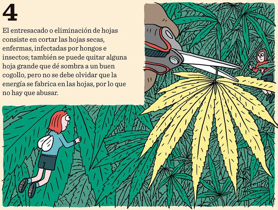 El domador de plantas: ocho técnicas para dominar el desarrollo