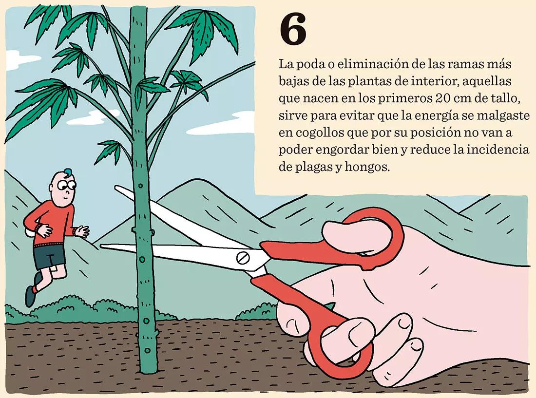 El domador de plantas: ocho técnicas para dominar el desarrollo