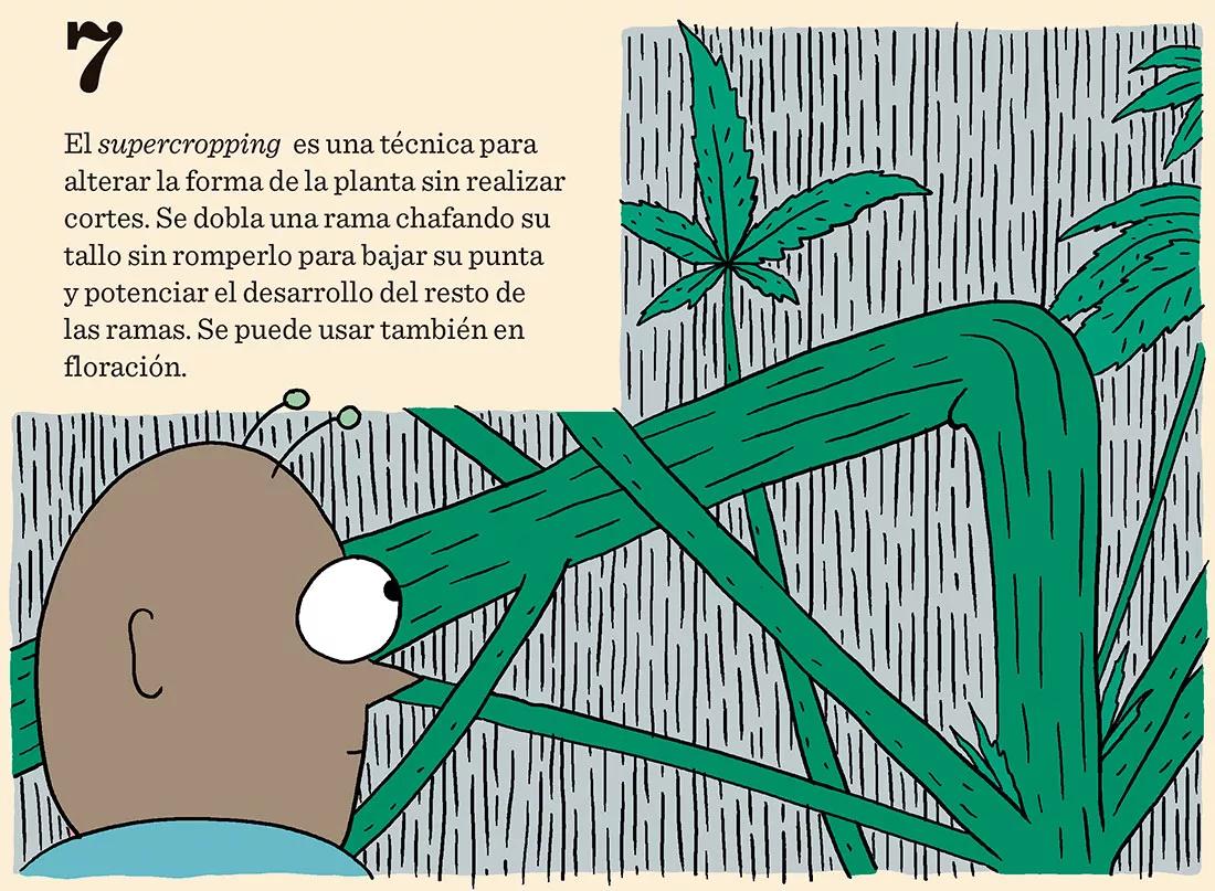 El domador de plantas: ocho técnicas para dominar el desarrollo