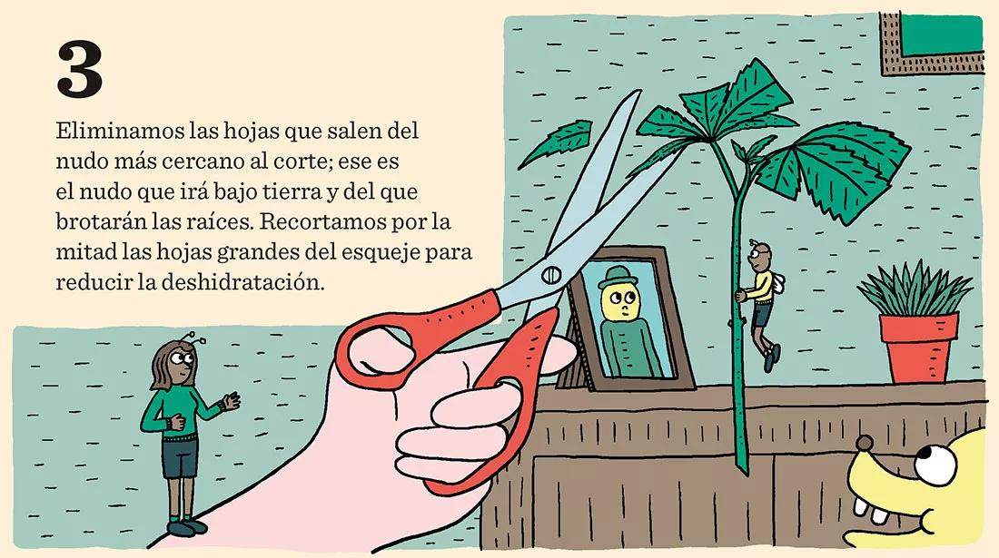 Sacar nuestros propios esquejes en diez pasos