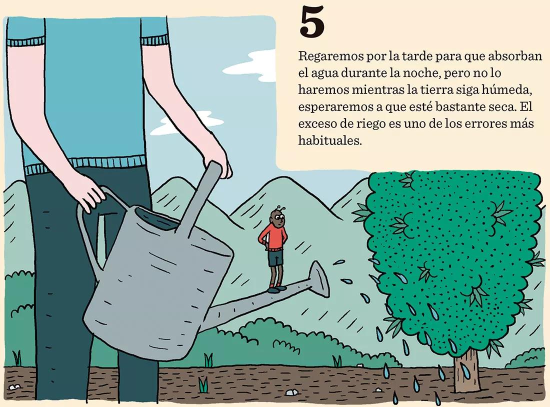 Ocho trucos para la fase de crecimiento 