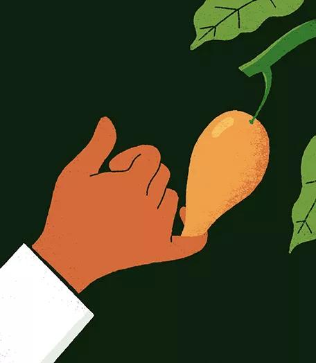 Ibogaína en el tratamiento del trastorno por uso de drogas