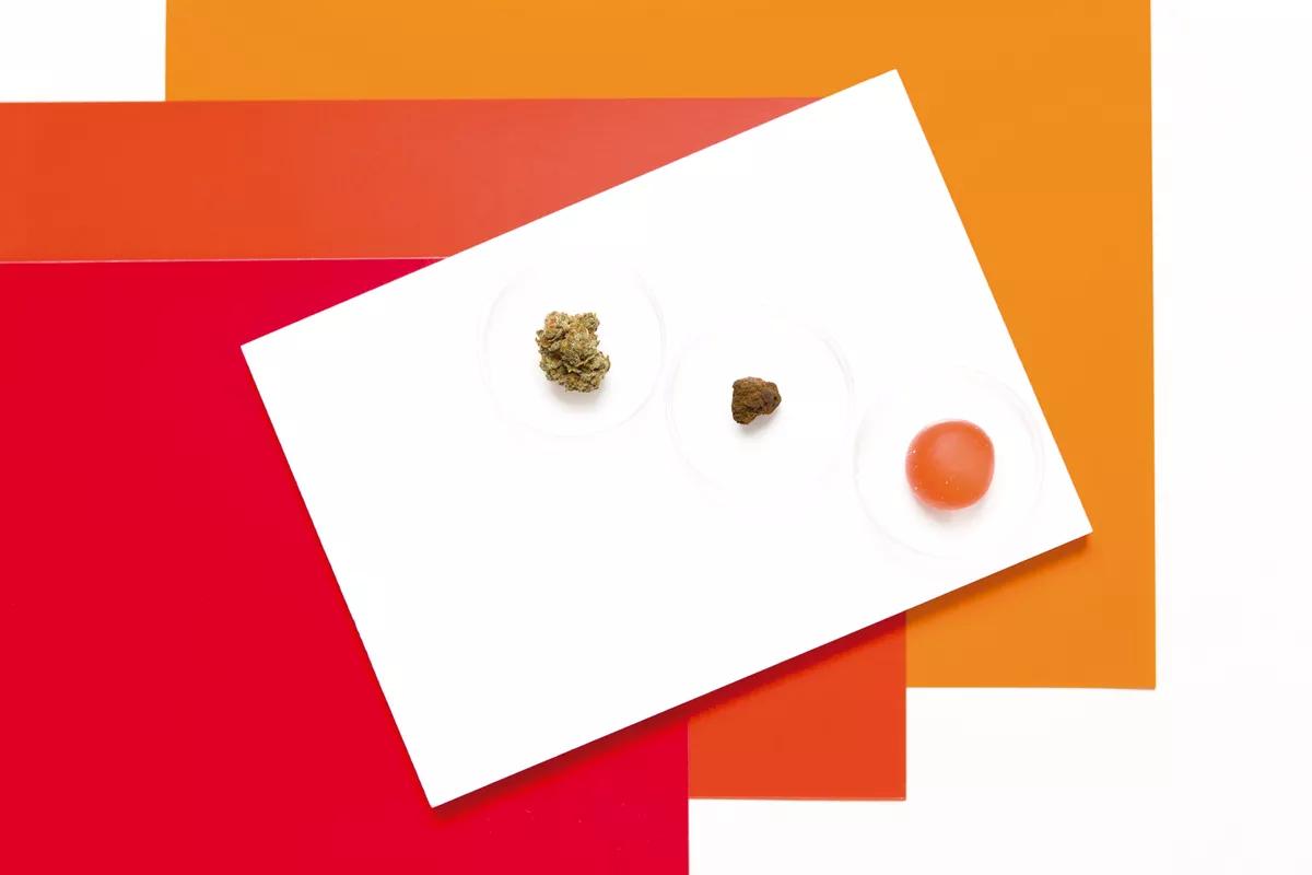 ¡El HHC ya está aquí! 