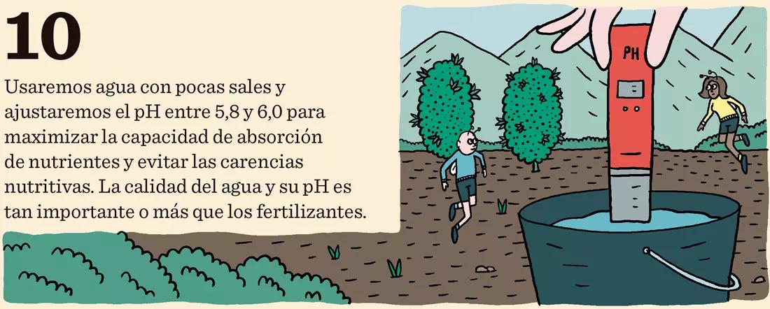 Usaremos agua con pocas sales y ajustaremos el pH entre 5,8 y 6,0 para maximizar la capacidad de absorción de nutrientes y evitar las carencias nutritivas. La calidad del agua y su pH es tan importante o más que los fertilizantes. 