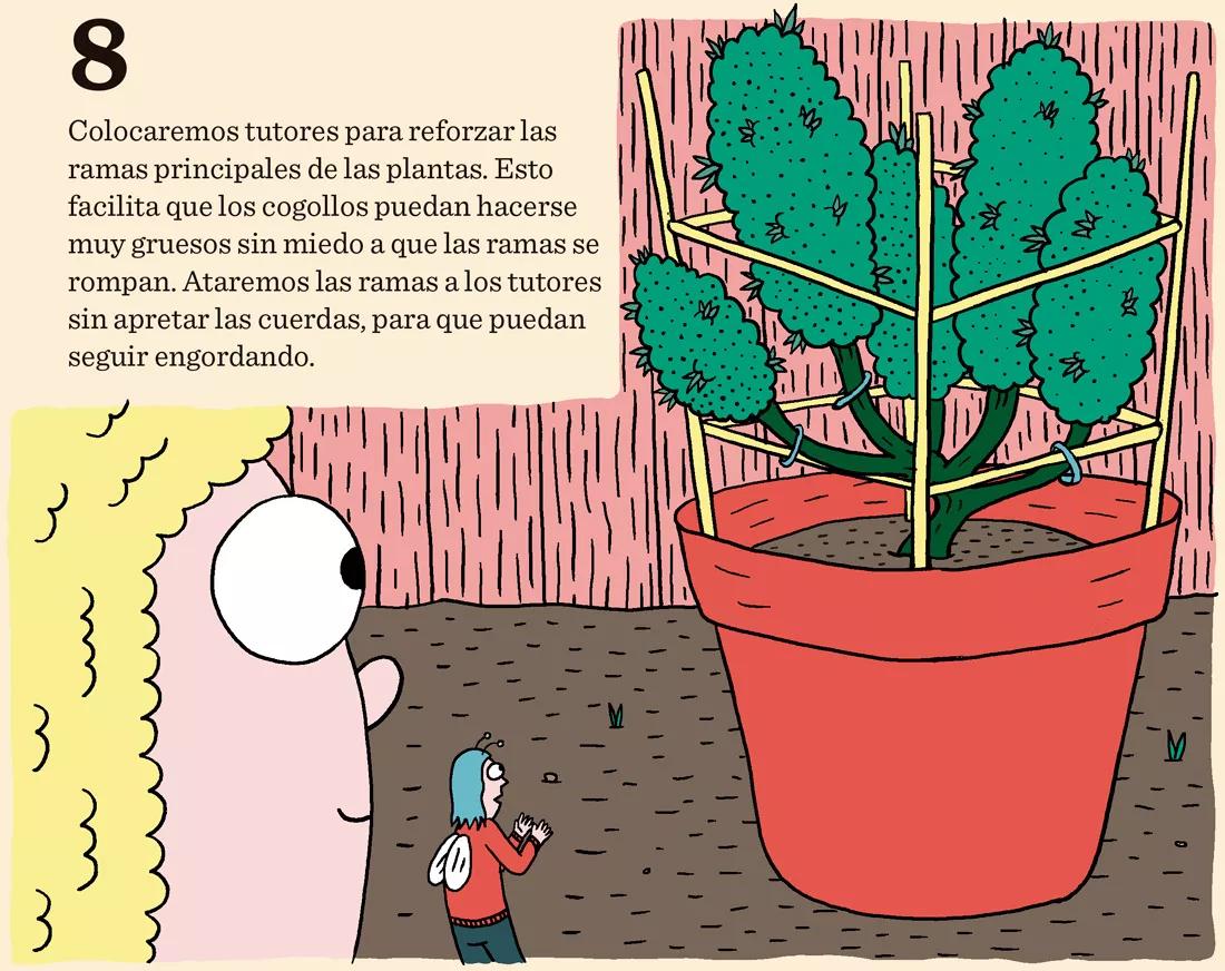 Colocaremos tutores para reforzar las ramas principales de las plantas. Esto facilita que los cogollos puedan hacerse muy gruesos sin miedo a que las ramas se rompan. Ataremos las ramas a los tutores sin apretar las cuerdas, para que puedan seguir engordando