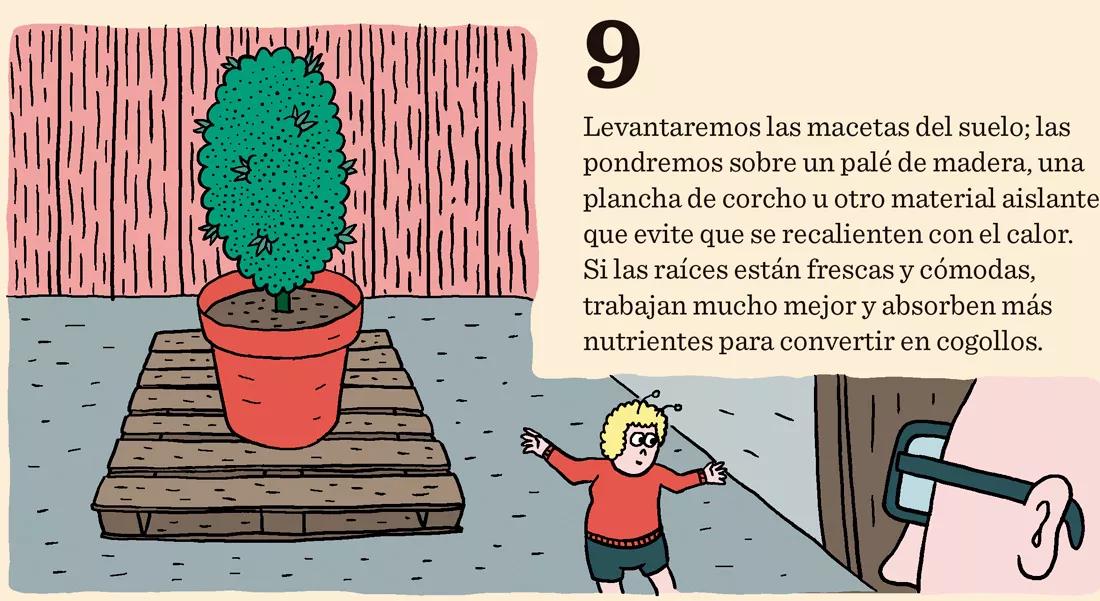 Levantaremos las macetas del suelo; las pondremos sobre un palé de madera, una plancha de corcho u otro material aislante que evite que se recalienten con el calor. Si las raíces están frescas y cómodas, trabajan mucho mejor y absorben más nutrientes para convertir en cogollos. 