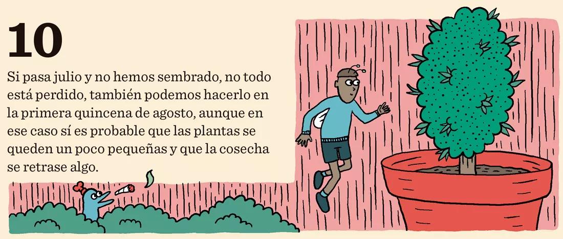 Sembrar en julio: diez trucos para cultivar a última hora