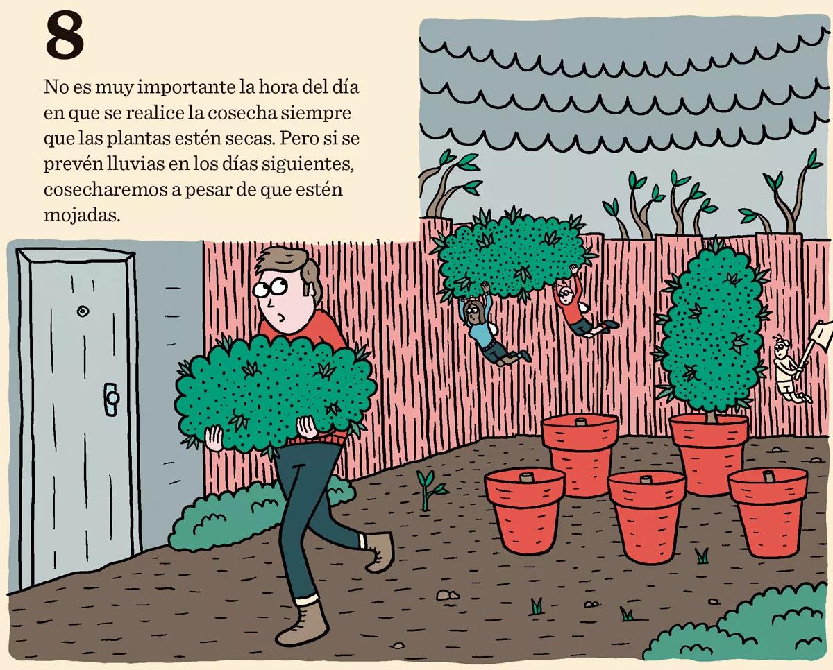 Diez trucos para lograr la mejor cosecha 