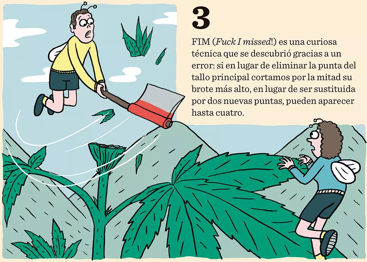 Ocho trucos y técnicas para manejar el tamaño y la forma de las plantas 